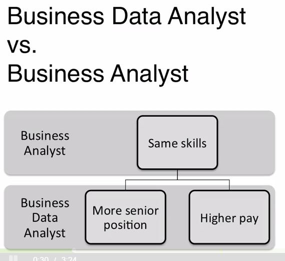 Business Data vs Business Data Analyst